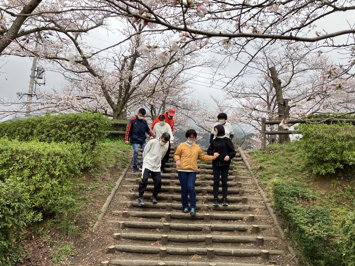 お花見