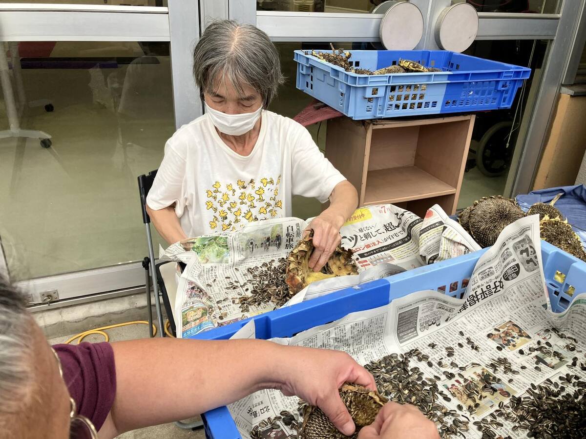 576986519_1305305898059068_8719197331396449097_n