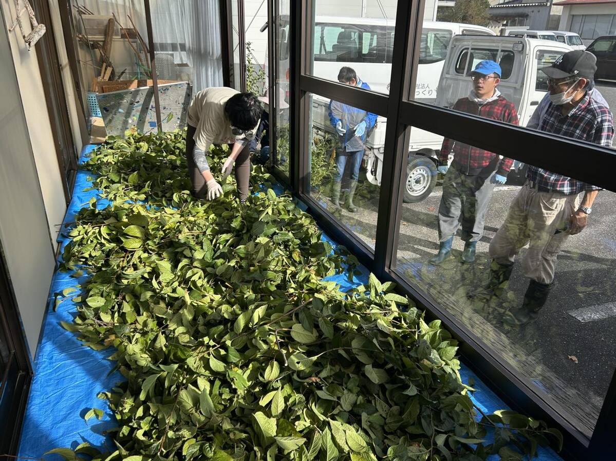 581398298_1312868423969482_4582705767833182059_n