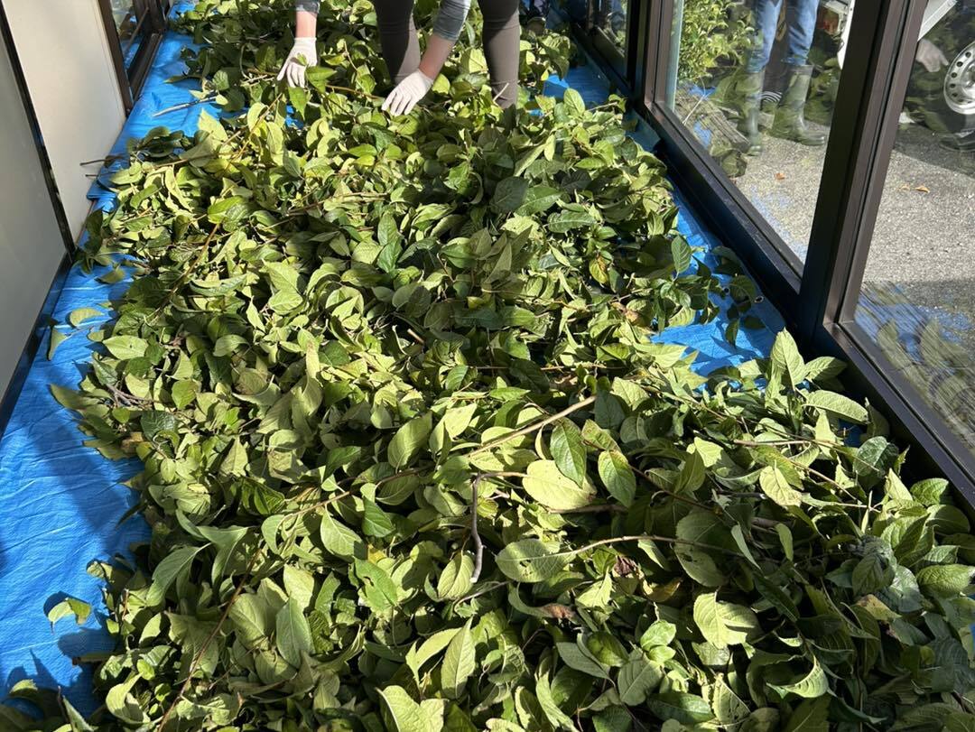 581998264_1312868347302823_4343597573998929392_n