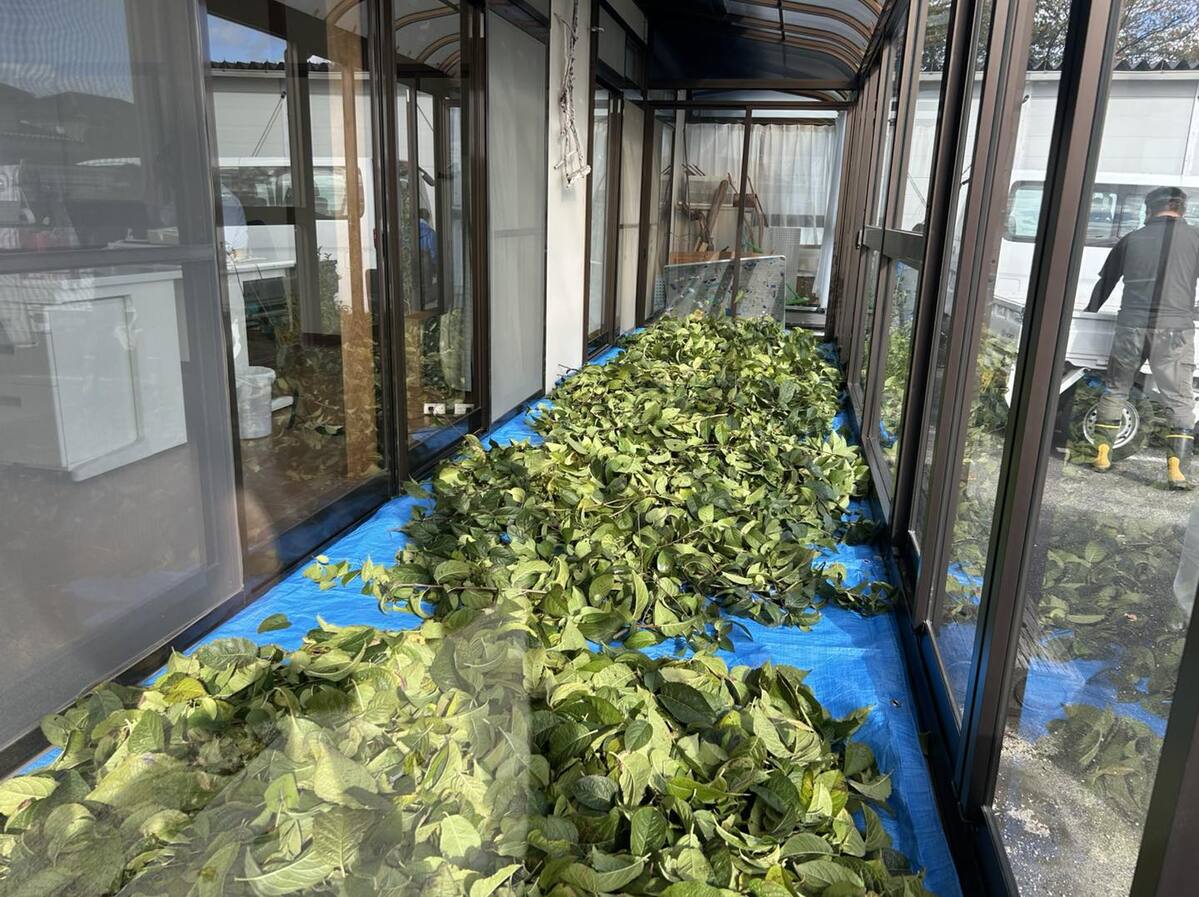 583079517_1312868377302820_4537285055491178650_n