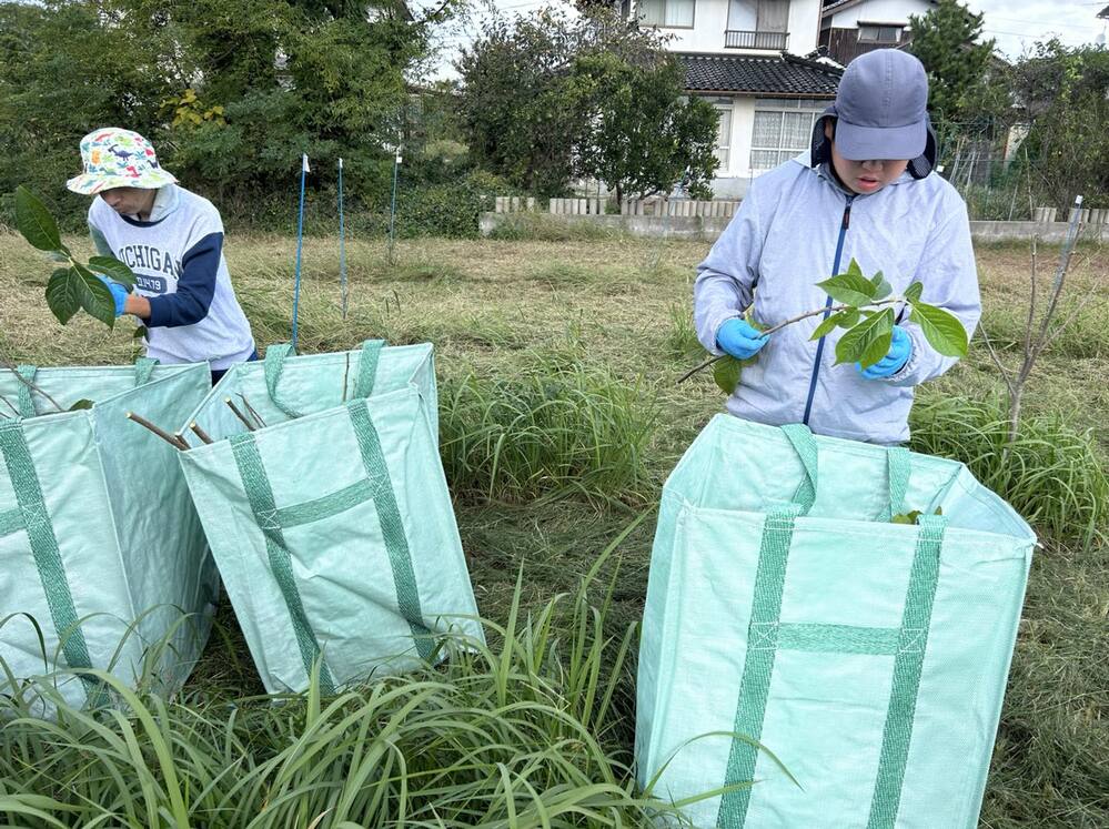 582089348_1312868420636149_8063378518286610699_n